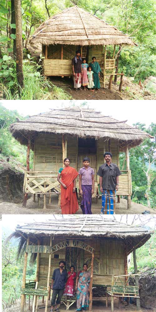 Eco Friendly Shelter